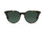 Raen Norie in Brindle Tortoise/Green